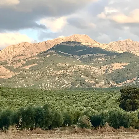 La Almedina: Palacio De Foronda *